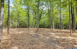 WESLEY CHAPEL RD, FREE UNION, VA 22940