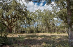 10 Nelson Rd, Poplarville, MS 39470