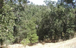 0 Raspberry Lane, Angels Camp, CA 95222