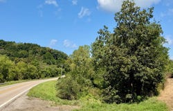 77250 Kinsey Orchard Rd, Freeport, OH 43973