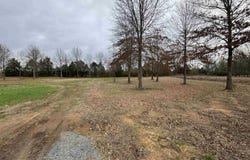 27R River Birch Drive, Guy, AR 72061