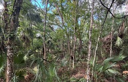NE 83rd Ave, Old Town, FL 32680