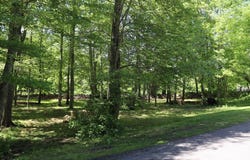 2 Collins Ln, Dartmouth, MA 02747