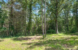 2072 Evening Shade Dr, Evening Shade, AR 72532