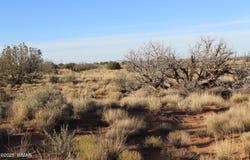 CCR, Heber, AZ 85928