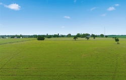 Wade Road, Eddy, TX 76524