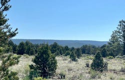 Buttonwood Drive lot: 15, Ramah, NM 87321