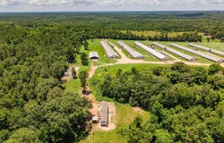 6080 CR 203, San Augustine, TX 75972