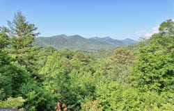 Raven Fork Trail, Dillard, GA 30537