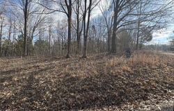 Crestview Dr, BUMPUS MILLS, TN 37028