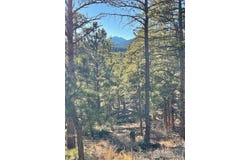 Pine Dr, Lyons, CO 80540