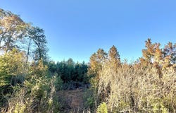 TR 008 Hwy 21E, Hemphill, TX 75948