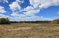 Towerline Road, Hale, MI 48739