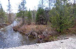 Spar Hawk Road, Wheelock, VT 05851