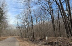 290th Avenue, New Auburn, WI 54757