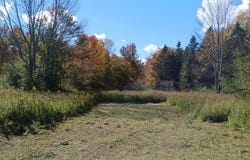 Cogar Drive, Frankfort, NY 99999