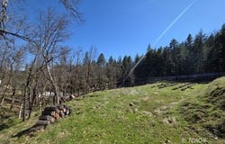 2141 McAlexander Rd, Hayfork, CA 96041