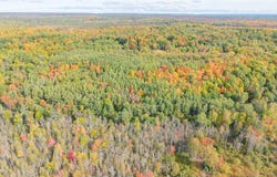 Co Rd CN, Ishpeming, MI 49849