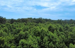 Willard Road, Staley, NC 27355