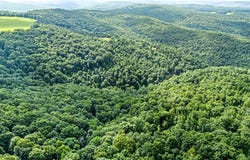 Dabney lot: 0, Jerusalem, AR 72080