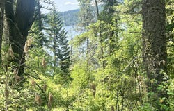 00NKA Lakeview Dr., Harrison, ID 83833