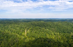 80 Gregory Way, Olive Hill, KY 41164