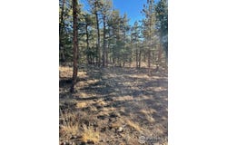 Pine Dr, Lyons, CO 80540