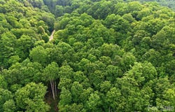 Seasons Drive lot: 43, Clyde, NC 28721