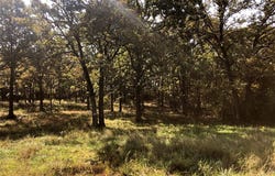 10240 County Road 3060, Rolla, MO 65401