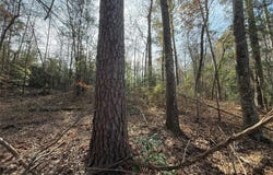 CR 2733, Marietta, TX 75566