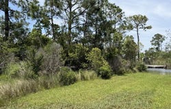 Dolphin Street lot: 20, Bay Saint Louis, MS 39520