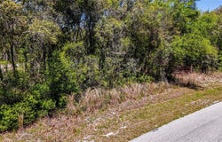 34281 UMBRELLA ROCK Drive, WEBSTER, FL 33597