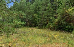 Sylva Rd, Franklin, NC 28734