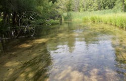 4573 N Able Road, Irons, MI 49644