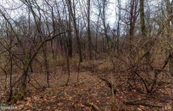 94 Briar Avenue, Albany, NY 12203