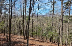 Riverside Dr lot: 0, Independence, VA 24348