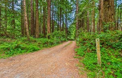 1360 Patricks Point Drive, Trinidad, CA 95570