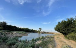 1300 Clover Drive, Poolville, TX 76487