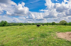 371 Highway 128, Bismarck, AR 71929