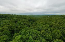 Devils Pool Road, Ridgedale, MO, MO 65739