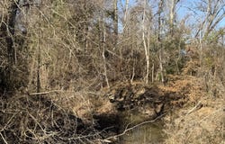 Delancey Road, Braxton, MS 39044