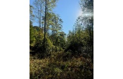 Elliott Road, HICO, WV 25854