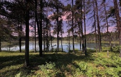 County Road EB, Gwinn, MI 49841