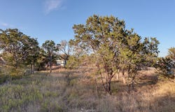 Dian Dr, Harper, TX 78631