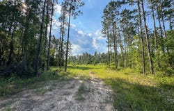 Highway 165, Kinder, LA 70648
