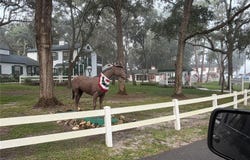 7930 MIDWAY DRIVE Terrace, OCALA, FL 34472