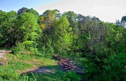 Walnut Street, LaFayette, GA 30728