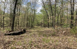 State Hwy N Tract C, Ava, MO 65608