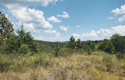 HWY 9 S, Mountain View, AR 72560