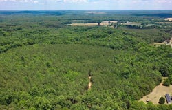 White Drive, Snow Camp, NC 27349